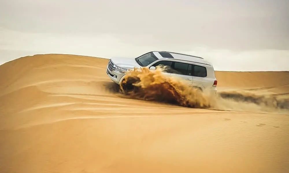 3ed57ce05f9b4e7888c22a6d2e254825_311875576_1008505313878490_740957671700787532_n-pygluto5olkzyprg4bbfalbsxzgrayybbf8dnz62k0